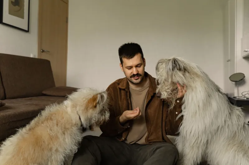 It's Not Just Barking: What Your Dog's Whines, Howls, and Groans Are Actually Saying